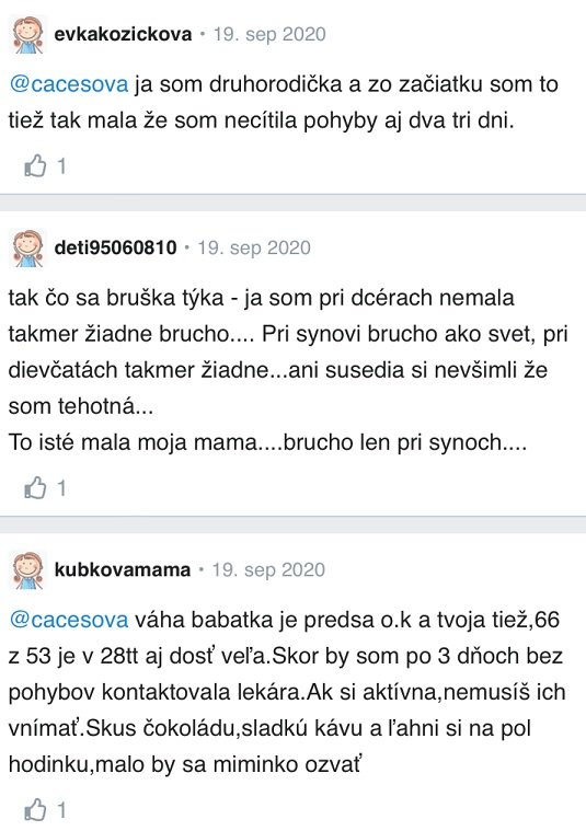 28. týždeň tehotenstva skúsenosti Modrykonik